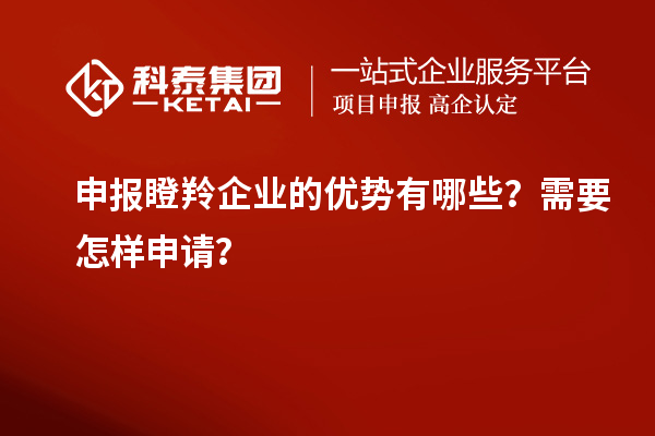 申报瞪羚企业的优势有哪些？需要怎样申请？