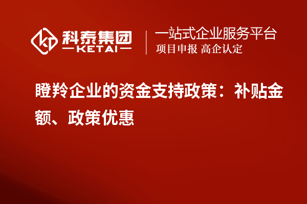 瞪羚企业的资金支持政策：补贴金额、政策优惠