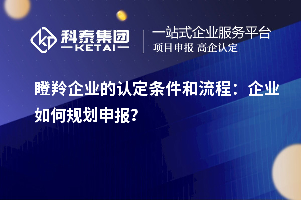 瞪羚企业的认定条件和流程：企业如何规划申报？