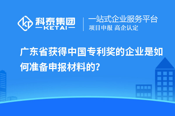 广东省获得中国专利奖的企业是如何准备申报材料的？