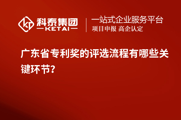 广东省专利奖的评选流程有哪些关键环节？