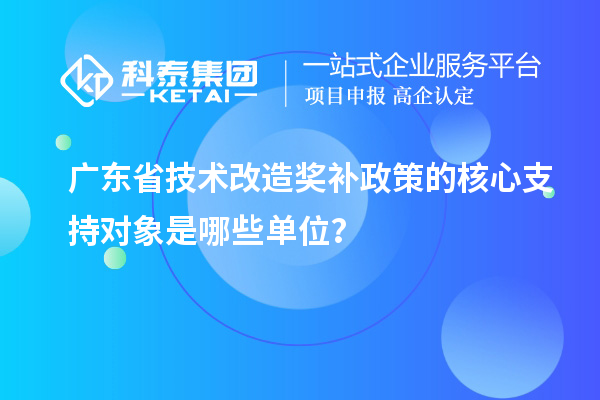 广东省技术改造奖补政策的核心支持对象是哪些单位？