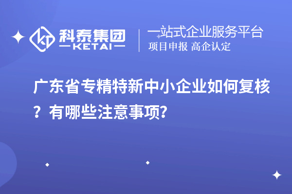 广东省专精特新中小企业如何复核？有哪些注意事项？