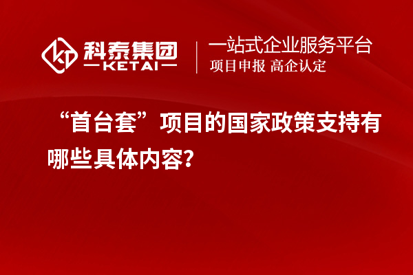 “首台套”项目的国家政策支持有哪些具体内容？