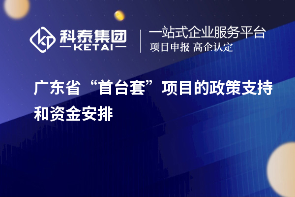 广东省“首台套”项目的政策支持和资金安排