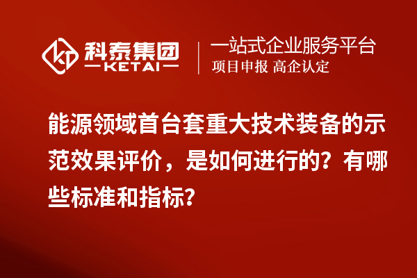 能源领域首台套重大技术装备的示范效果评价，是如何进行的？有哪些标准和指标？