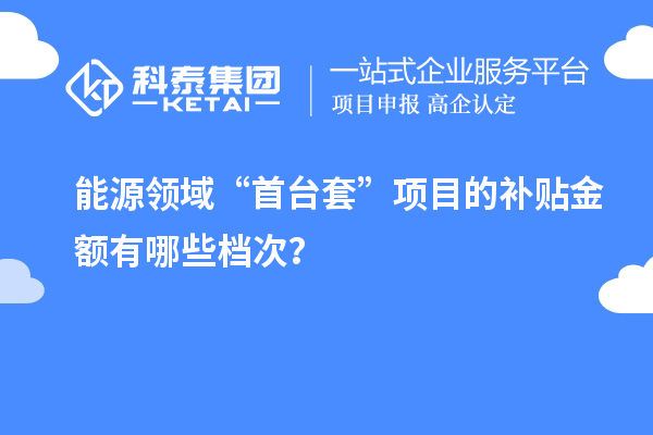 能源领域“首台套”项目的补贴金额有哪些档次？