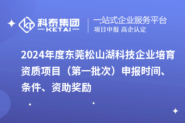 2024年度东莞松山湖科技企业培育资质项目（第一批次）申报时间、条件、资助奖励