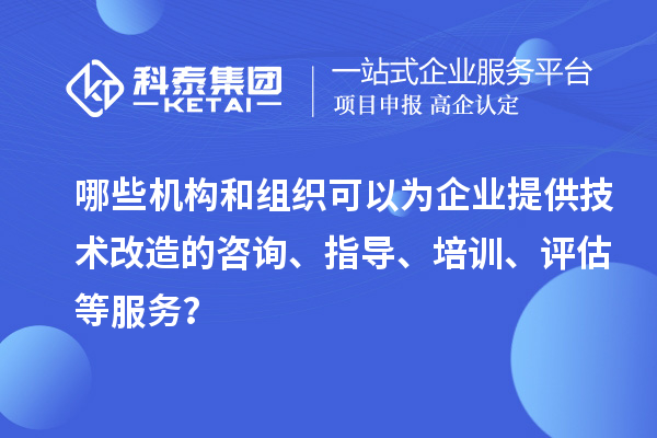 哪些机构和组织可以为企业提供技术改造的咨询、指导、培训、评估等服务？