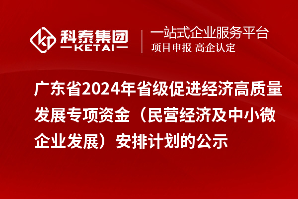 广东省2024年省级促进经济高质量发展专项资金（民营经济及中小微企业发展）安排计划的公示