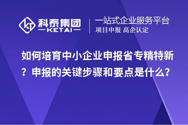 如何培育中小企业申报省专精特新？申报的关键步骤和要点是什么？