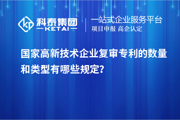 国家高新技术企业复审专利的数量和类型有哪些规定？