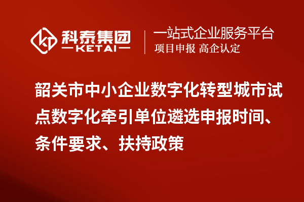 韶关市中小企业数字化转型城市试点数字化牵引单位遴选申报时间、条件要求、扶持政策