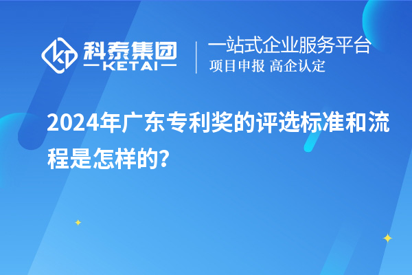 2024年广东专利奖的评选标准和流程是怎样的？