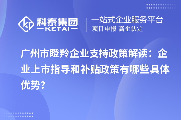 广州市瞪羚企业支持政策解读：企业上市指导和补贴政策有哪些具体优势？