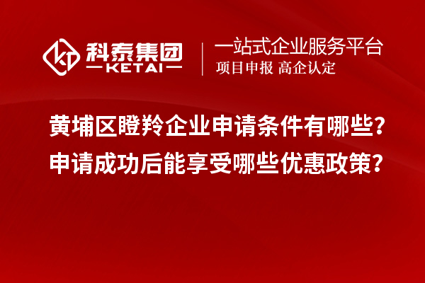 黄埔区瞪羚企业申请条件有哪些？申请成功后能享受哪些优惠政策？