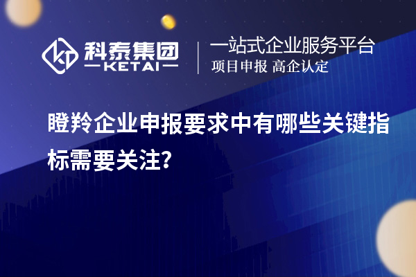 瞪羚企业申报要求中有哪些关键指标需要关注？