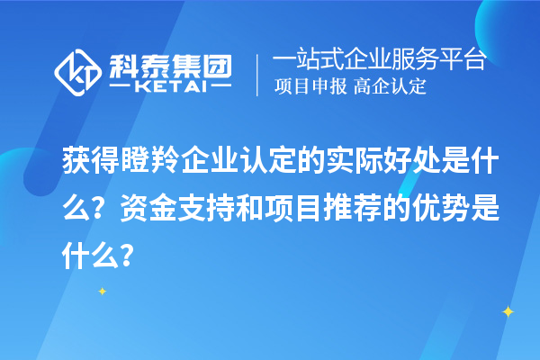 获得瞪羚企业认定的实际好处是什么？资金支持和项目推荐的优势是什么？