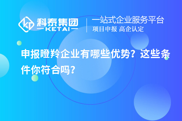 申报瞪羚企业有哪些优势？这些条件你符合吗？