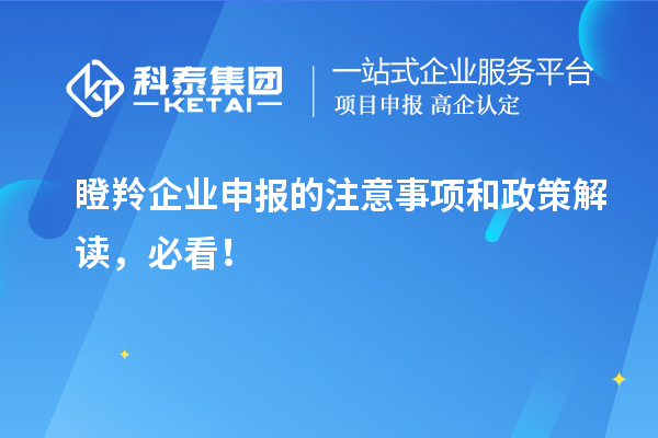 瞪羚企业申报的注意事项和政策解读，必看！