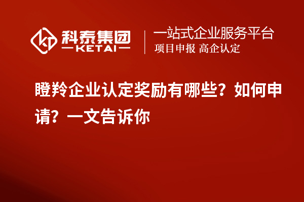 瞪羚企业认定奖励有哪些？如何申请？一文告诉你