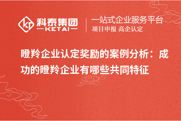 瞪羚企业认定奖励的案例分析：成功的瞪羚企业有哪些共同特征