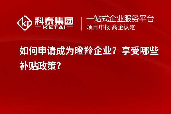 如何申请成为瞪羚企业？享受哪些补贴政策？