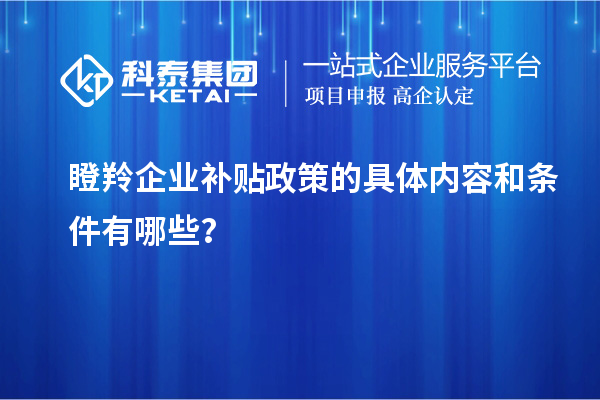 瞪羚企业补贴政策的具体内容和条件有哪些？