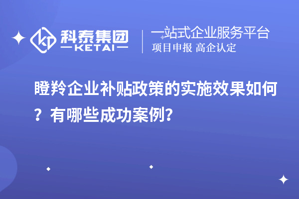 瞪羚企业补贴政策的实施效果如何？有哪些成功案例？