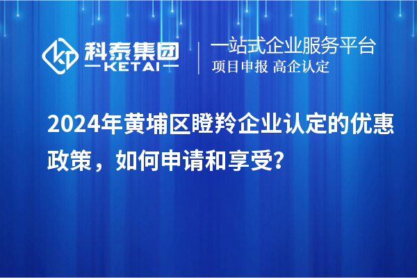 2024年黄埔区瞪羚企业认定的优惠政策，如何申请和享受？