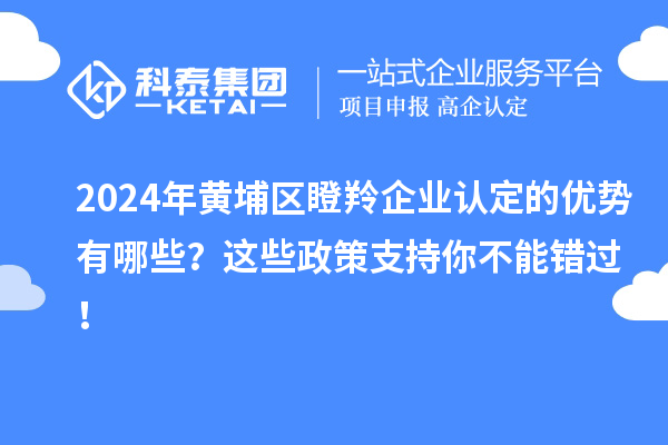 2024年黄埔区瞪羚企业认定的优势有哪些？这些政策支持你不能错过！