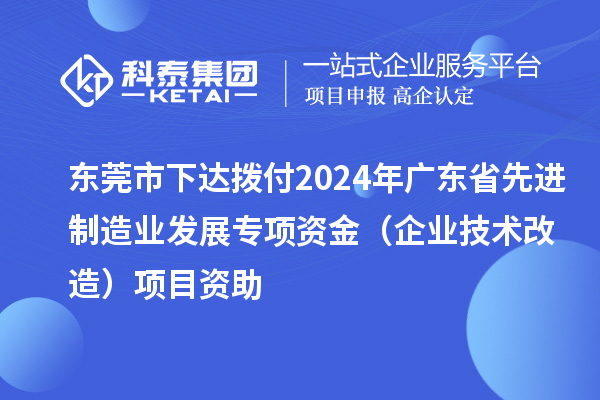 东莞市下达拨付2024年广东省先进制造业发展专项资金（企业技术改造）项目资助