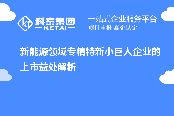 新能源领域专精特新小巨人企业的上市益处解析