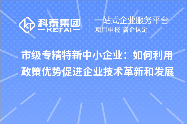 市级专精特新中小企业：如何利用政策优势促进企业技术革新和发展