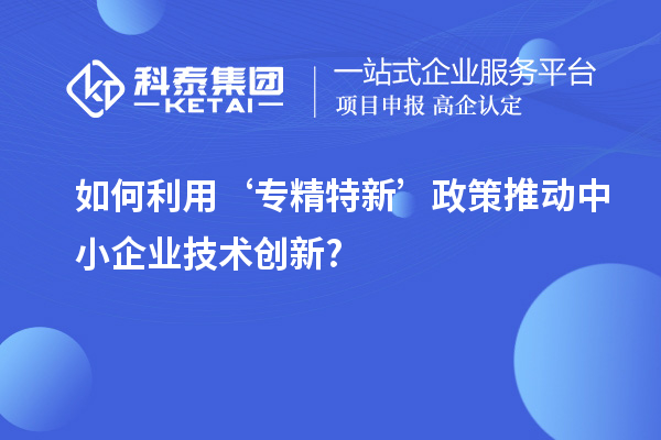 如何利用‘专精特新’政策推动中小企业技术创新?