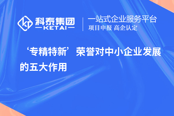 ‘专精特新’荣誉对中小企业发展的五大作用