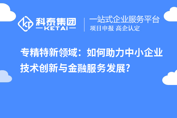 专精特新领域：如何助力中小企业技术创新与金融服务发展?