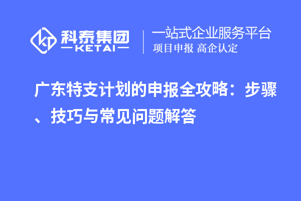 广东特支计划的申报全攻略：步骤、技巧与常见问题解答