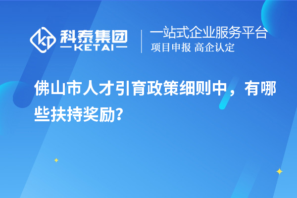 佛山市人才引育政策细则中，有哪些扶持奖励？