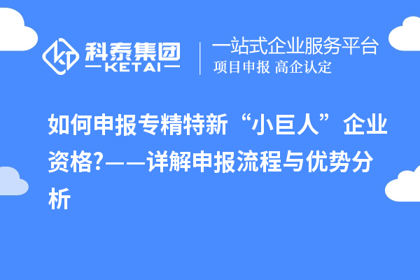 如何申报专精特新“小巨人”企业资格?——详解申报流程与优势分析