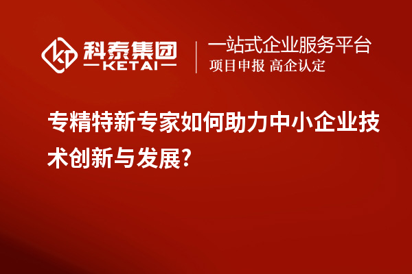 专精特新专家如何助力中小企业技术创新与发展?