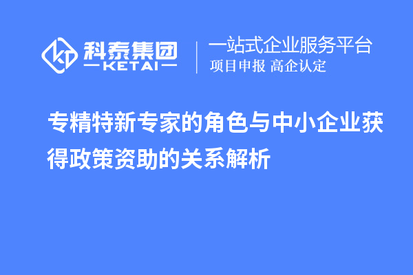 专精特新专家的角色与中小企业获得政策资助的关系解析