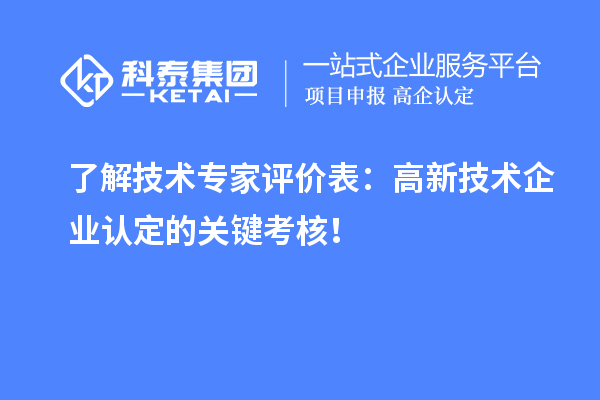 了解技术专家评价表：
的关键考核！