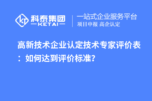 
技术专家评价表：如何达到评价标准？