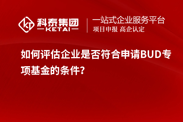 如何评估企业是否符合申请BUD专项基金的条件？