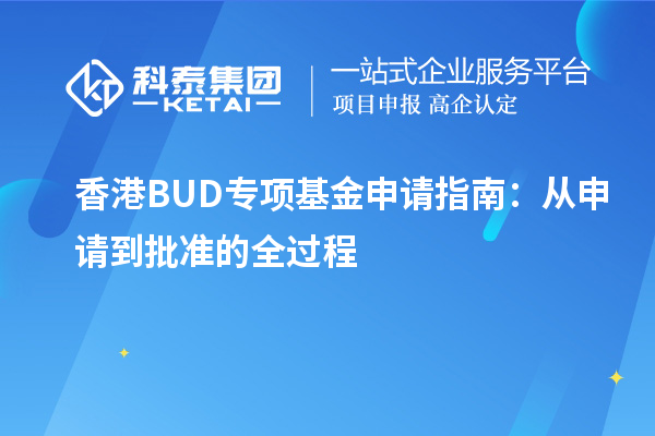 香港BUD专项基金申请指南：从申请到批准的全过程