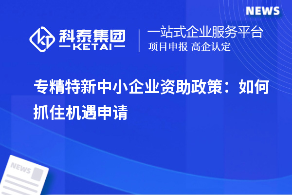 专精特新中小企业资助政策：如何抓住机遇申请