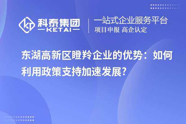 东湖高新区瞪羚企业的优势：如何利用政策支持加速发展?