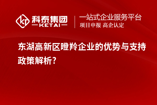 东湖高新区瞪羚企业的优势与支持政策解析?