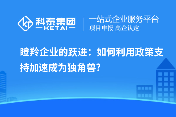 瞪羚企业的跃进：如何利用政策支持加速成为独角兽?